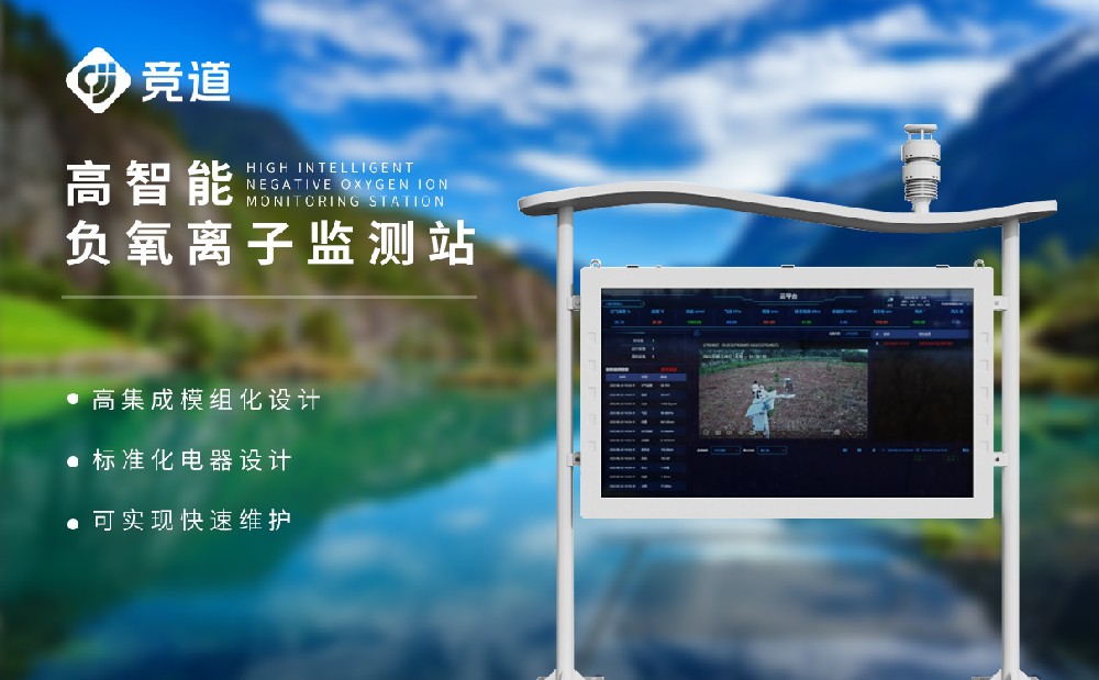 负氧离子监测体系