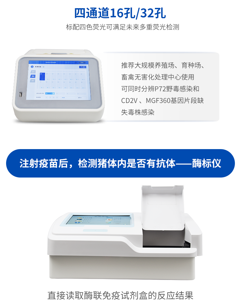 非洲猪瘟 非洲猪瘟
