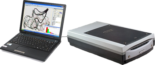 动物根系阐发体系 动物根系阐发体系