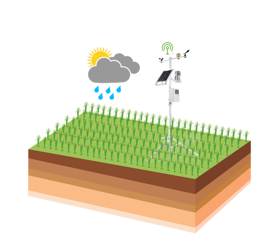 农业四情监测预警办理体系